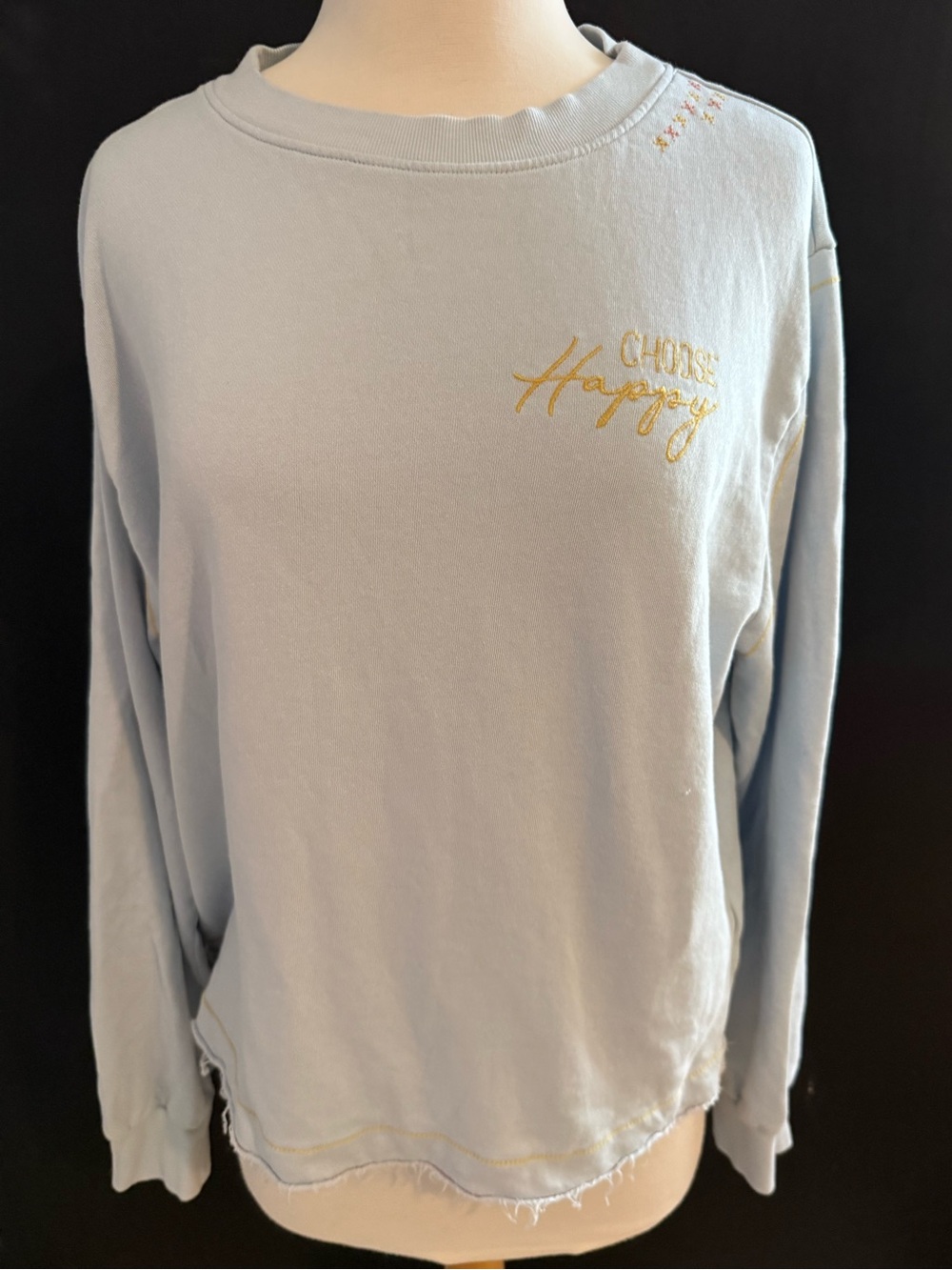 Grey State Choose Happy Embroidered Light Blue Women’s Crewneck size large